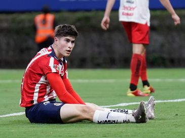 La Hormiga González no logró su segundo título de goleo en el partido de Chivas contra los Xolos de Tijuana. IMAGO7 / ARCHIVO