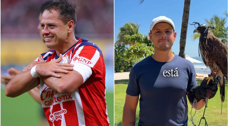 Esto dice Chicharito en un nuevo TikTok polémico. IMAGO 7 / ARCHIVO / TIKTOK chicha14_