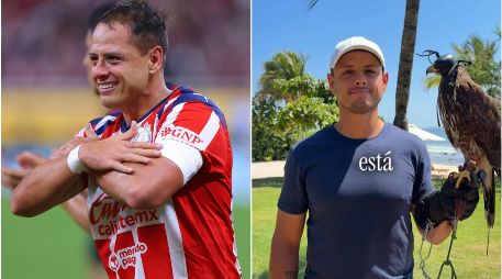 Esto dice Chicharito en un nuevo TikTok polémico. IMAGO 7 / ARCHIVO / TIKTOK chicha14_