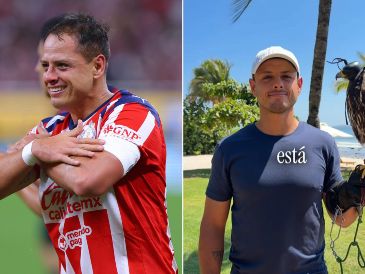 Esto dice Chicharito en un nuevo TikTok polémico. IMAGO 7 / ARCHIVO / TIKTOK chicha14_