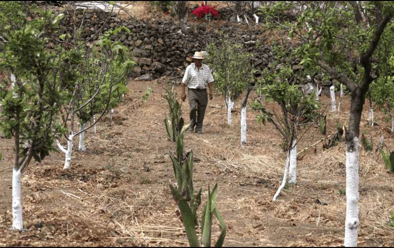 Esto forma parte de la aplicación de la reforma a la Ley de Aguas Nacionales en materia de concesiones. SUN / ARCHIVO