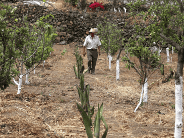 Esto forma parte de la aplicación de la reforma a la Ley de Aguas Nacionales en materia de concesiones. SUN / ARCHIVO