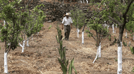Esto forma parte de la aplicación de la reforma a la Ley de Aguas Nacionales en materia de concesiones. SUN / ARCHIVO