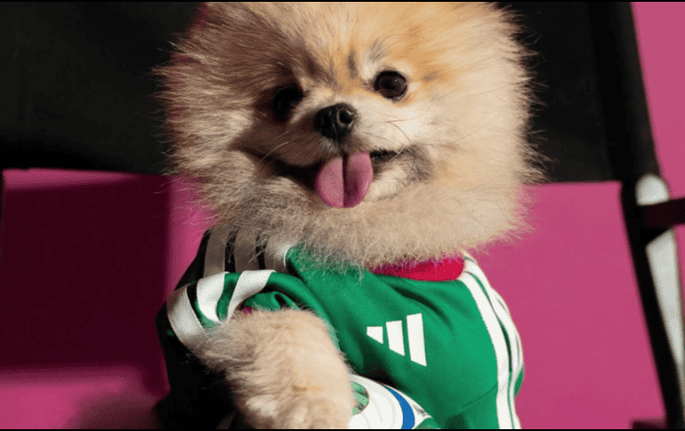 A medida que se acerca la inauguración, se espera que más marcas continúen sumándose a esta tendencia, diversificando su oferta y conectando con nuevas audiencias en torno a uno de los eventos más importantes del planeta. ESPECIAL/ INSTAGRAM/ adidasmx