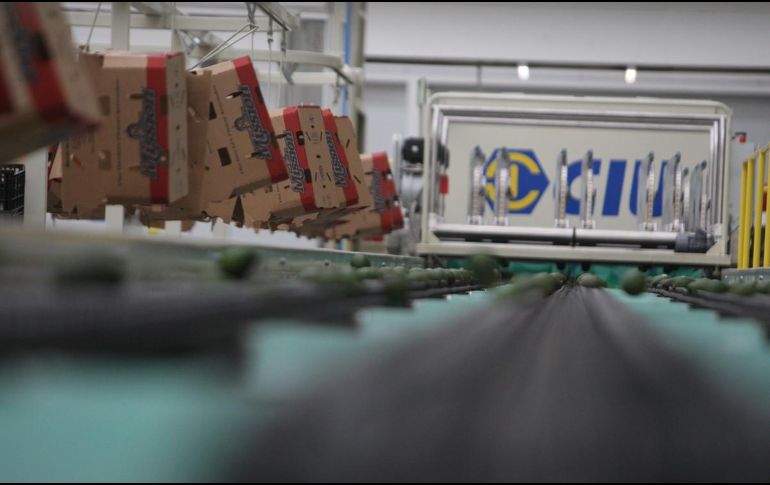 México se ha afianzado al T-MEC para impulsar el crecimiento de su economía, de la que una cuarta parte depende de exportaciones a Estados Unidos. EL INFORMADOR / ARCHIVO