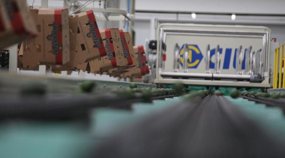 México se ha afianzado al T-MEC para impulsar el crecimiento de su economía, de la que una cuarta parte depende de exportaciones a Estados Unidos. EL INFORMADOR / ARCHIVO