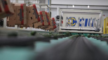 México se ha afianzado al T-MEC para impulsar el crecimiento de su economía, de la que una cuarta parte depende de exportaciones a Estados Unidos. EL INFORMADOR / ARCHIVO