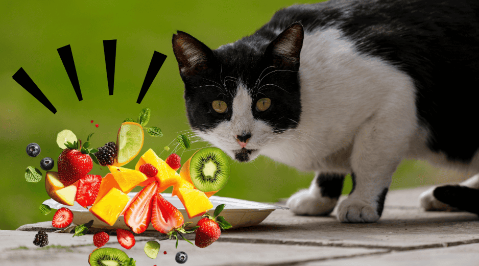 Aunque algunas frutas son seguras, otras representan un peligro mortal que los dueños no deben subestimar. CANVA ESPECIAL