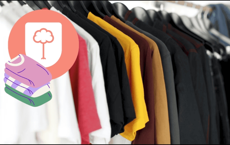 Dicha campaña de acopio estará disponible hasta el próximo domingo 17 de mayo en distintas sedes de la ciudad. ESPECIAL/ Unsplash