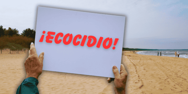 PLAYA EN CONFLICTO: Muro amenaza ecosistema en Punta de Mita