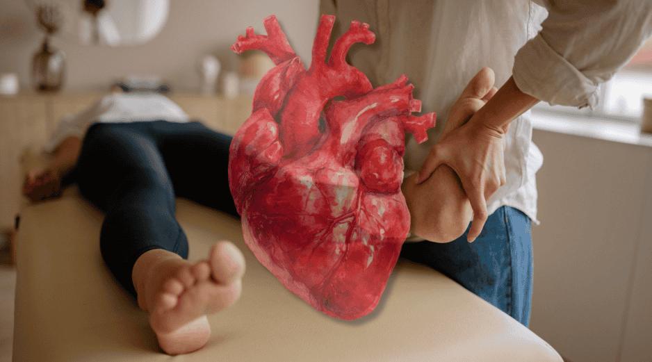 El sistema circulatorio humano funciona como una compleja red de autopistas que transporta oxígeno. Cuando el corazón pierde fuerza para bombear sangre de manera eficiente, las zonas más alejadas del centro del cuerpo, como los pies, son las primeras en sufrir las consecuencias. CANVA