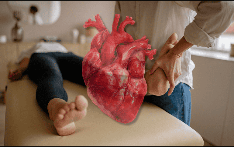 El sistema circulatorio humano funciona como una compleja red de autopistas que transporta oxígeno. Cuando el corazón pierde fuerza para bombear sangre de manera eficiente, las zonas más alejadas del centro del cuerpo, como los pies, son las primeras en sufrir las consecuencias. CANVA