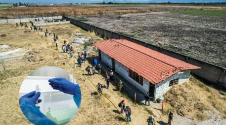 Colectivos de búsqueda insistieron en la importancia de que más familiares participen en las pruebas genéticas para acelerar los procesos de identificación. EL INFORMADOR/ARCHIVO/ESPECIAL