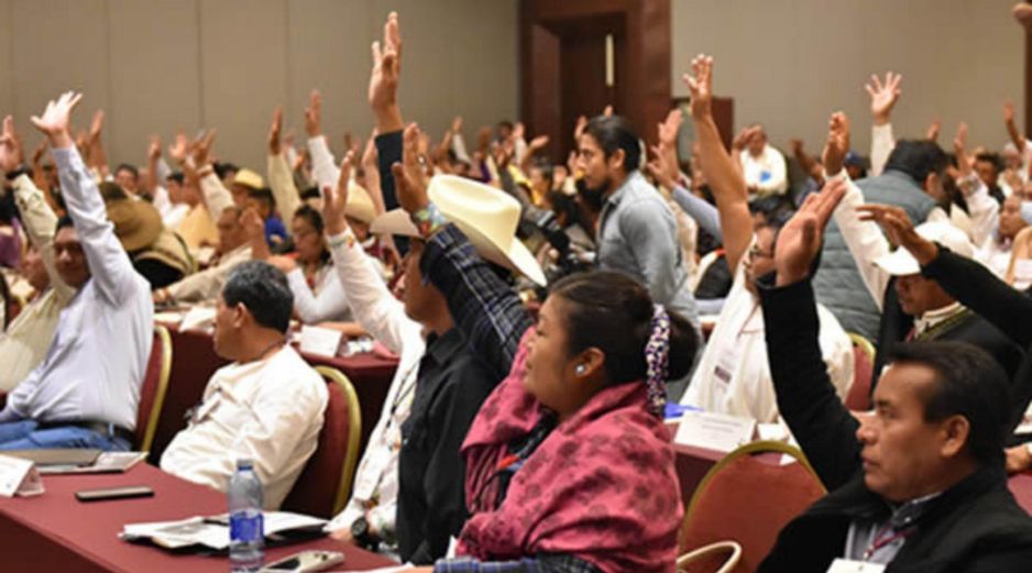 El Consejo advierte que el partido indígena limitaría derechos y autonomía política. ESPECIAL/ CNPI