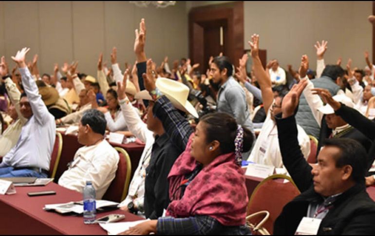 El Consejo advierte que el partido indígena limitaría derechos y autonomía política. ESPECIAL/ CNPI