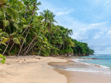 Las reuniones incluyen a la Procuraduría Federal de Protección al Ambiente (Profepa), autoridades estatales, representantes de la empresa desarrolladora y pobladores de Punta Mita. UNSPLASH