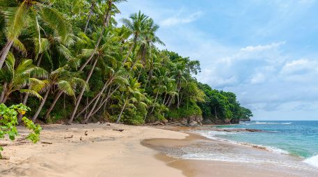 Las reuniones incluyen a la Procuraduría Federal de Protección al Ambiente (Profepa), autoridades estatales, representantes de la empresa desarrolladora y pobladores de Punta Mita. UNSPLASH
