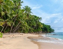 Las reuniones incluyen a la Procuraduría Federal de Protección al Ambiente (Profepa), autoridades estatales, representantes de la empresa desarrolladora y pobladores de Punta Mita. UNSPLASH