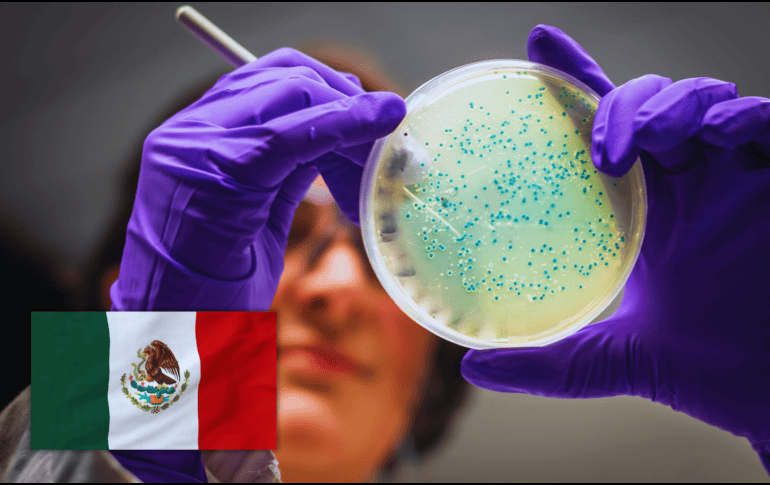 Urgen esquemas de retiro digno y relevo generacional para garantizar la soberanía del conocimiento en México. ESPECIAL / CANVA