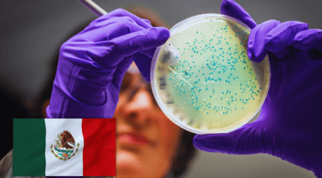 Urgen esquemas de retiro digno y relevo generacional para garantizar la soberanía del conocimiento en México. ESPECIAL / CANVA