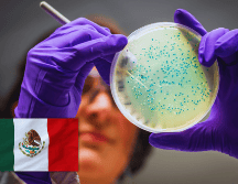 Urgen esquemas de retiro digno y relevo generacional para garantizar la soberanía del conocimiento en México. ESPECIAL / CANVA