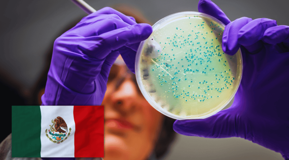 Urgen esquemas de retiro digno y relevo generacional para garantizar la soberanía del conocimiento en México. ESPECIAL / CANVA