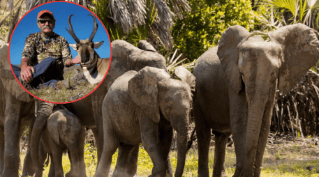 El recorrido tenía como objetivo principal la caza de antílopes en una zona protegida de África. UNSPLASH / S. SHIVAKUMAR