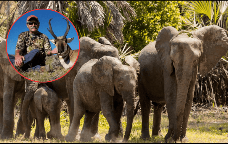 El recorrido tenía como objetivo principal la caza de antílopes en una zona protegida de África. UNSPLASH / S. SHIVAKUMAR