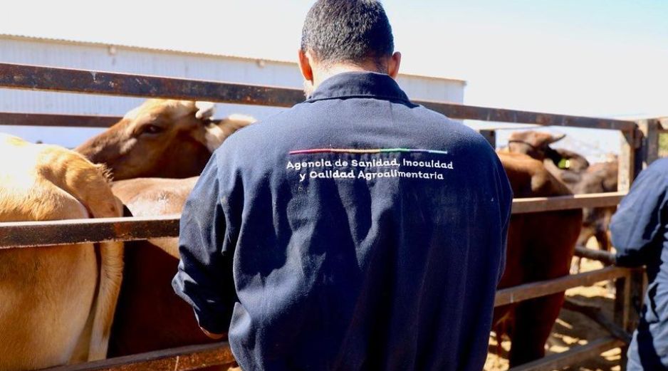 Jalisco detecta y atiende casos activos, con capacitación y refuerzo de vigilancia. ESPECIAL