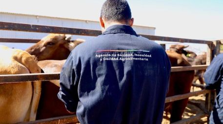 Jalisco detecta y atiende casos activos, con capacitación y refuerzo de vigilancia. ESPECIAL