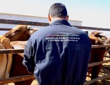 Jalisco detecta y atiende casos activos, con capacitación y refuerzo de vigilancia. ESPECIAL