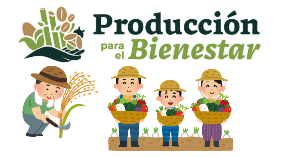 Este programa además de dar dinero, también pretende brindar capacitación técnica para mejorar las cosechas y asegurar la sostenibilidad a largo plazo. Programas para el Bienestar. CANVA