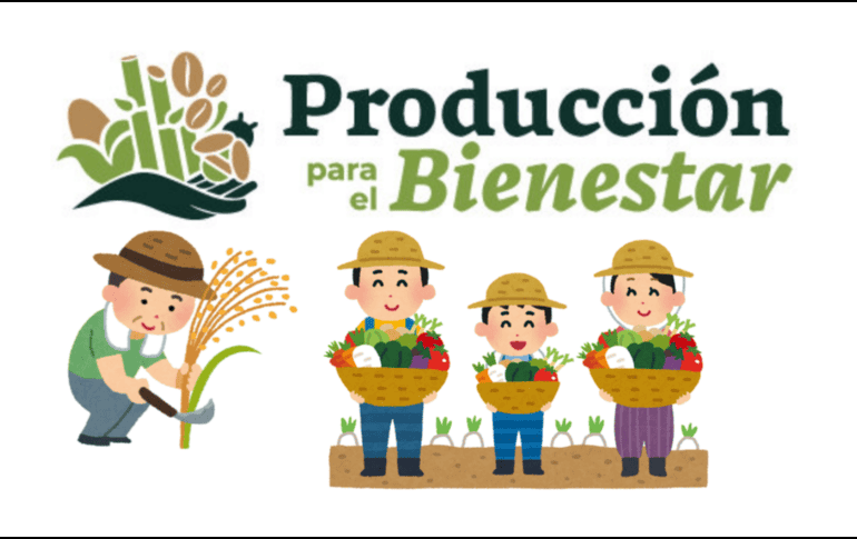 Este programa además de dar dinero, también pretende brindar capacitación técnica para mejorar las cosechas y asegurar la sostenibilidad a largo plazo. Programas para el Bienestar. CANVA