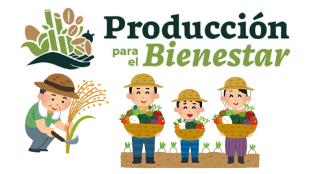 Este programa además de dar dinero, también pretende brindar capacitación técnica para mejorar las cosechas y asegurar la sostenibilidad a largo plazo. Programas para el Bienestar. CANVA