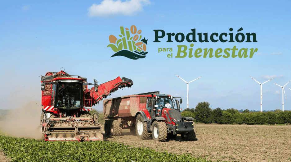 El monto del apoyo se determina de manera anual y puede variar dependiendo del tipo de cultivo y la superficie de hectáreas registrada por cada persona beneficiaria. CANVA