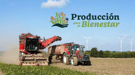 El monto del apoyo se determina de manera anual y puede variar dependiendo del tipo de cultivo y la superficie de hectáreas registrada por cada persona beneficiaria. CANVA