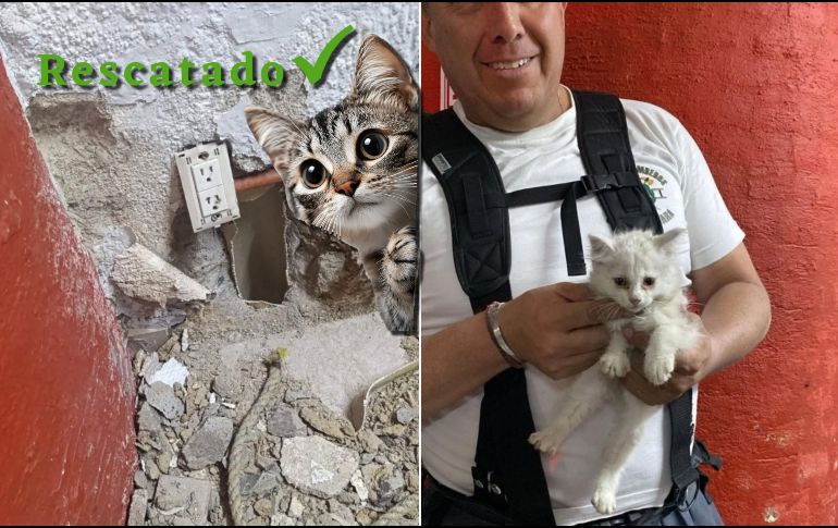 El gatito quedó a resguardo de una joven deportista luego de ser rescatado. ESPECIAL / FACEBOOK Protección Civil y Bomberos GDL