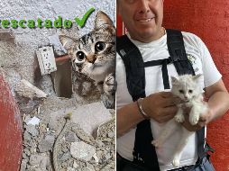 El gatito quedó a resguardo de una joven deportista luego de ser rescatado. ESPECIAL / FACEBOOK Protección Civil y Bomberos GDL