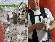 El gatito quedó a resguardo de una joven deportista luego de ser rescatado. ESPECIAL / FACEBOOK Protección Civil y Bomberos GDL