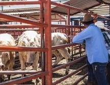 El PIB mexicano aumentó un 0.1 % interanual de enero a marzo, según cifras originales del Inegi. EL INFORMADOR / ARCHIVO