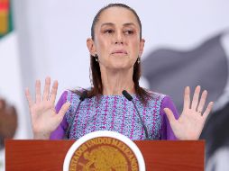 La Mandataria rechazó este jueves la 