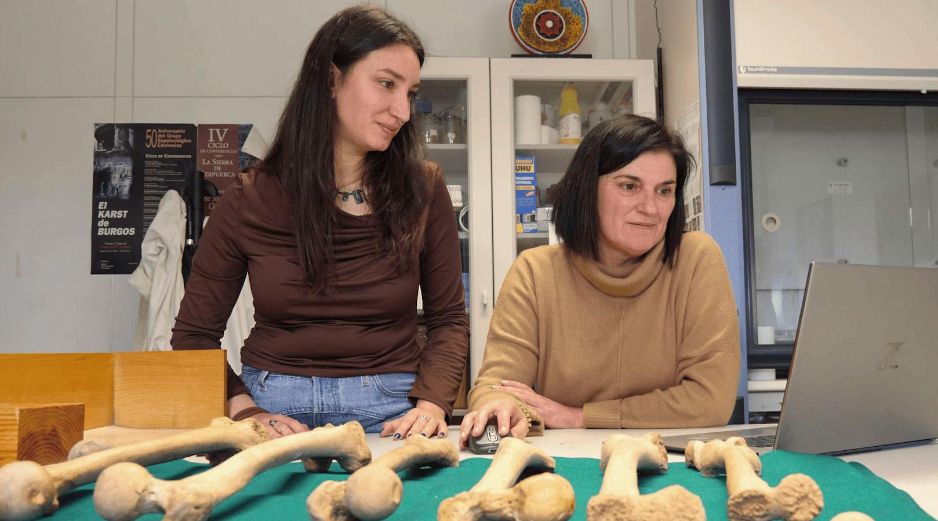 El estudio sobre la menstruación se publicó en la revista The Anatomical Record. EFE/ARCHIVO