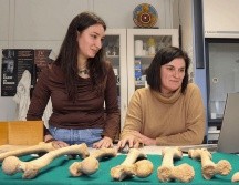 El estudio sobre la menstruación se publicó en la revista The Anatomical Record. EFE/ARCHIVO