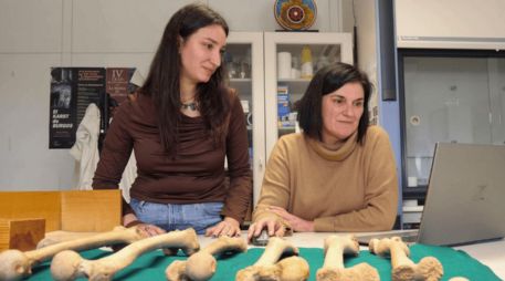 El estudio sobre la menstruación se publicó en la revista The Anatomical Record. EFE/ARCHIVO