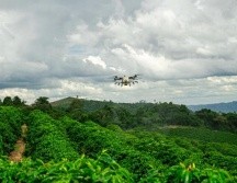 La siembra y fumigación con drones impulsa la producción y la sostenibilidad de los pastos en Brasil. EFE