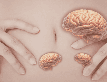 Contraer el abdomen no es solo una acción muscular. Podría formar parte de un mecanismo más amplio que influye en la circulación de fluidos dentro del cuerpo.  CANVA