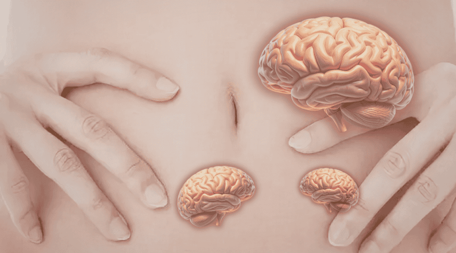 Contraer el abdomen no es solo una acción muscular. Podría formar parte de un mecanismo más amplio que influye en la circulación de fluidos dentro del cuerpo.  CANVA