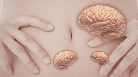 Contraer el abdomen no es solo una acción muscular. Podría formar parte de un mecanismo más amplio que influye en la circulación de fluidos dentro del cuerpo.  CANVA