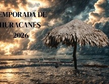 Se espera una importante presencia de humedad durante junio, una disminución en julio y un nuevo incremento con precipitaciones superiores al promedio entre septiembre y octubre. ESPECIAL / CANVA