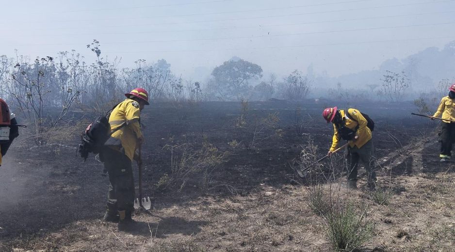 La coordinación entre dependencias y voluntarios ha sido clave en las acciones para contener el incendio forestal. CORTESÍA/UEPCBJ